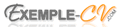 Exemple CV
